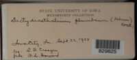 Image Associated With the Occurence